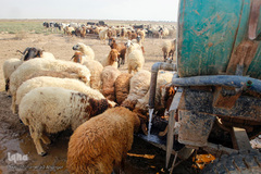 آبرسانی به روستاهای هویزه