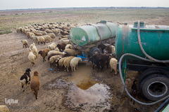 آبرسانی به روستاهای هویزه