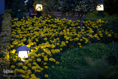 نمایشگاه گل و گیاه كرج