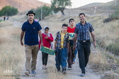 برداشت انگور در تاکستان
