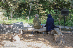 باغ گیاه شناسی ملی ایران