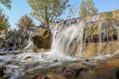 باغ گیاه شناسی ملی ایران