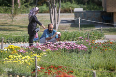 باغ گیاه شناسی ملی ایران