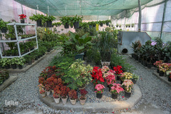 باغ گیاه شناسی ملی ایران