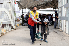 ارادتی که پیر و جوان نمی شناسد