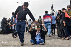 ارادتی که پیر و جوان نمی شناسد