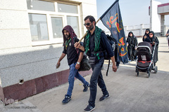 ارادتی که پیر و جوان نمی شناسد