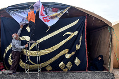 ارادتی که پیر و جوان نمی شناسد