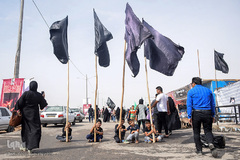 ارادتی که پیر و جوان نمی شناسد