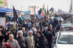 ارادتی که پیر و جوان نمی شناسد