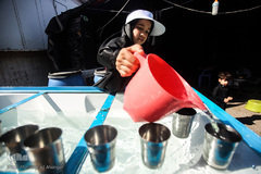 قدم به قدم از نجف تا کربلا