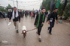 قدم به قدم از نجف تا کربلا