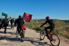 پیاده‎روی اربعین از طریق العلما
