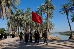 پیاده‎روی اربعین از طریق العلما