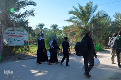 پیاده‎روی اربعین از طریق العلما