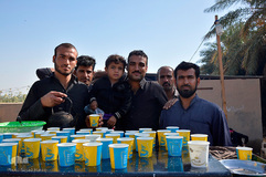 پیاده‎روی اربعین از طریق العلما