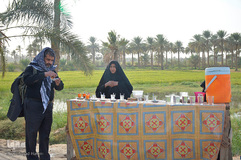 پیاده‎روی اربعین از طریق العلما