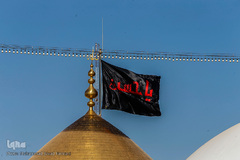 زیارت اربعین اباعبدالله الحسین (ع) کربلای معلی