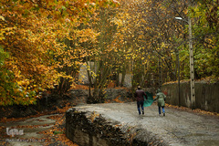 پاییز در جاغرق