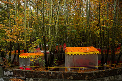 پاییز در جاغرق