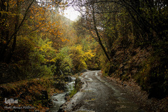 پاییز در جاغرق