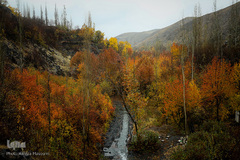 پاییز در جاغرق