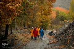 پاییز در جاغرق