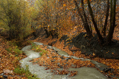 پاییز در جاغرق