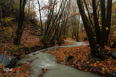 پاییز در جاغرق