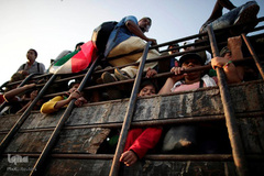 خطر در کمین کودکان / کاروان مهاجر به سمت مرز ایالات متحده-مکزیک