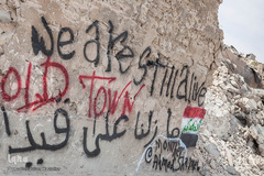 شهر باستانی موصل که نماینده تنوع فرهنگی عراق به شمار می‌رود، تا سال 2017 بیشتر تروریست‌های داعش را در خود جای داده بود و بر اثر حملات هوایی ائتلاف ضد داعش تا حدود زیادی ویران شد. بین 9000 تا 11000 شهروند کشته شدند و 3200 نفر در نتیجه عملیات نظامی ائتلاف تحت رهبری آمریکا علیه داعش جان خود را از دست دادند.