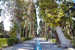 باغ فین کاشان