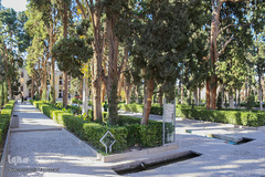 باغ فین کاشان