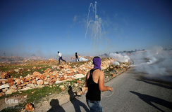 یک‌سال، نه به نکبت