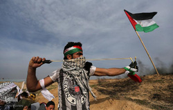 یک‌سال، نه به نکبت