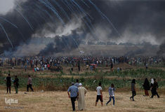 یک‌سال، نه به نکبت