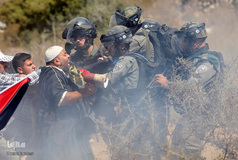 یک‌سال، نه به نکبت