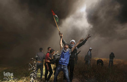 یک‌سال، نه به نکبت