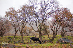 اندیکا، شگفتی در دل کوه