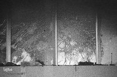 روزشمار انقلاب اسلامی «روزهای اوج‌گیری انقلاب» عکس هایی از کامران شیردل