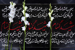 کاروان قرآنی انقلاب در بوشهر