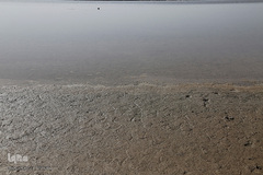 خشک شدن تالاب بین المللی گاوخونی