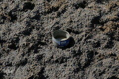 خشک شدن تالاب بین المللی گاوخونی