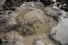 خشک شدن تالاب بین المللی گاوخونی