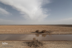 خشک شدن تالاب بین المللی گاوخونی