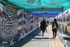 شهر به استقبال سالروز انقلاب
