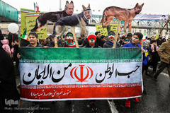 شکوه چهل سالگی/ تهران خیابان آزادی