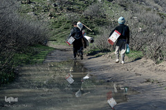 کودکان در این منطقه پا به پای بزرگترهای خود کار می‌کنند، آنها حتی برای تحصیل به مدرسه روستای دیگری می‌روند.
