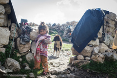 در روستای دور افتاده گریوه کودکان بسیاری هستند که به جای بازی و آموختن درس با دام‌ها زندگی می‌کنند. شقایق مولایی ۳ ساله، فرزند قیصر مولایی از کودکانی است که جای کودکی، نظاره‌گر شغل پدر و مادر خود است. این روستا در ۲۵ کیلومتری لالی است.
