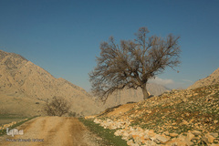 طبیعت شگفت انگیز خوزستان